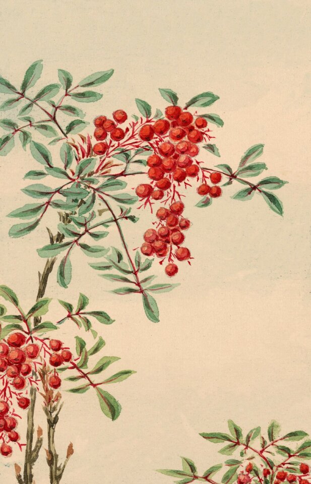 Painting vintage japanese