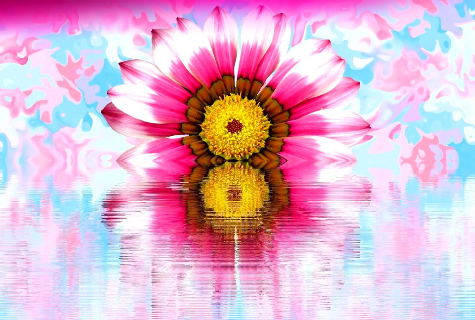 Nature pastel light blue pink