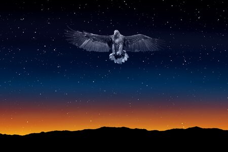 Illuminated night sky