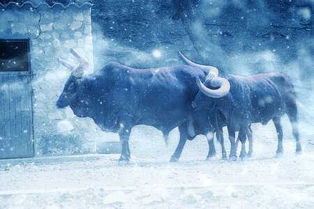 Art vintage winter
