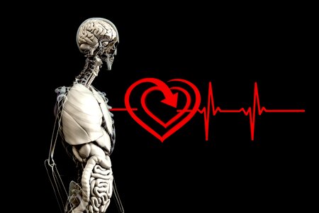 Pulse frequency heart rate philosophy