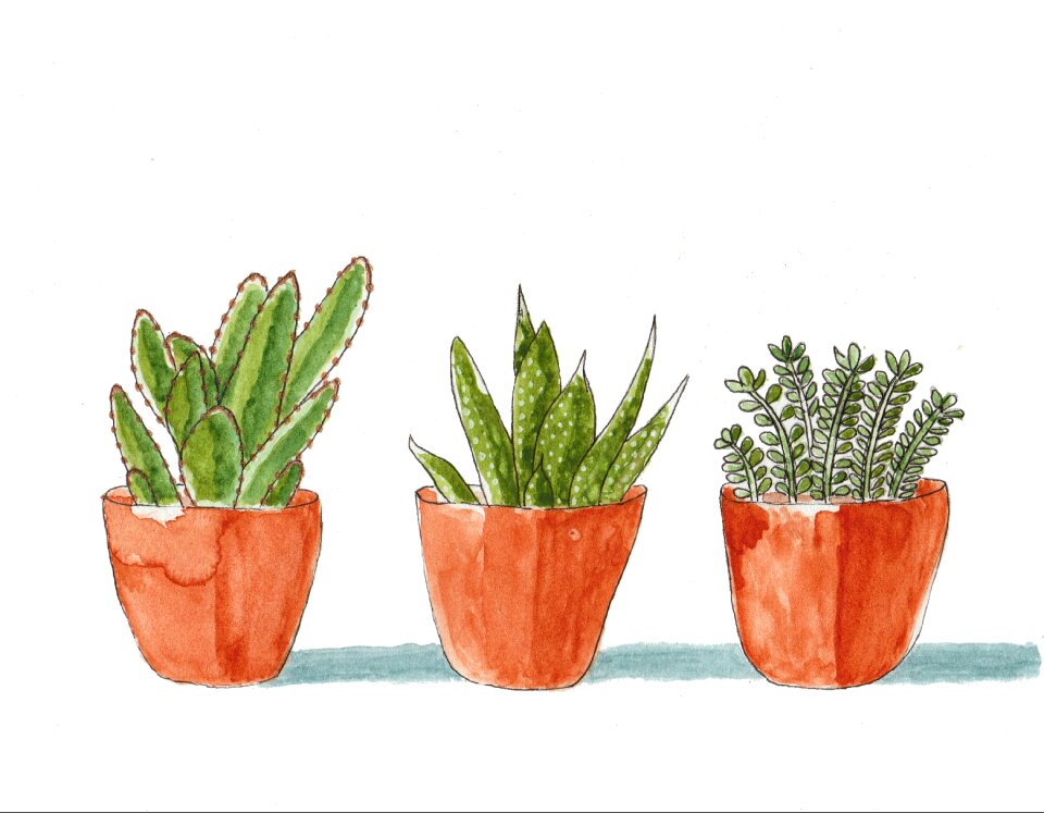 Watercolor green houseplant