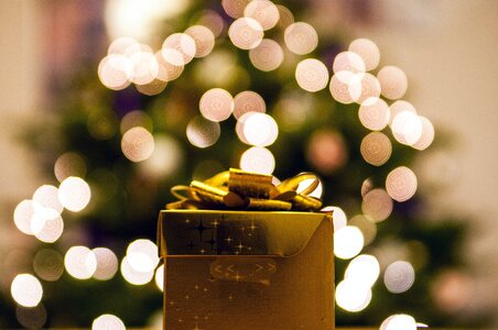 Holiday christmas decoration