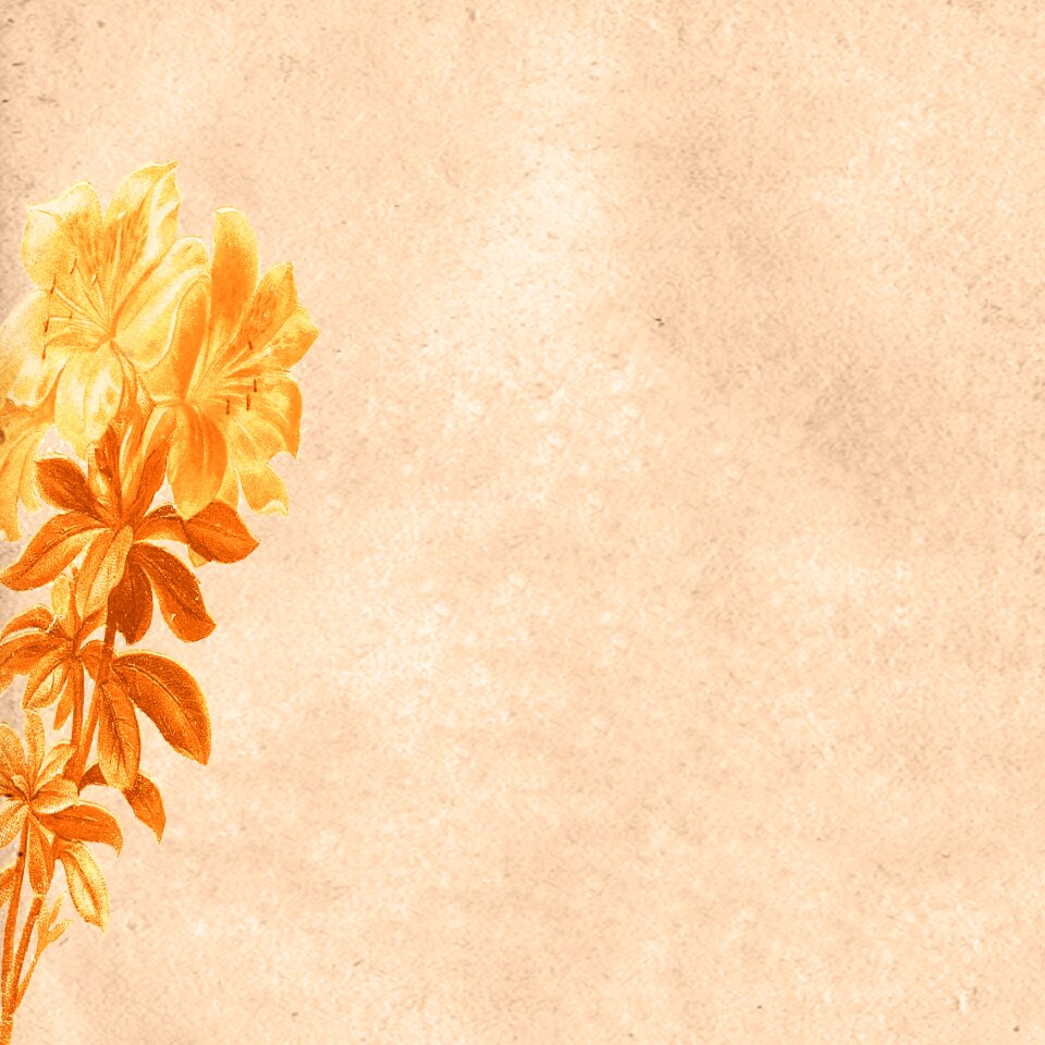 Texture scrapbook vintage