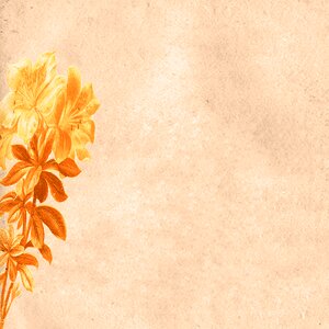 Texture scrapbook vintage