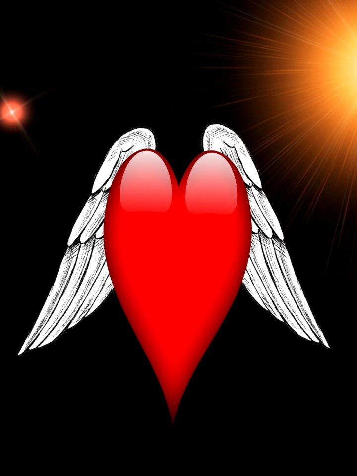 Wings in love love