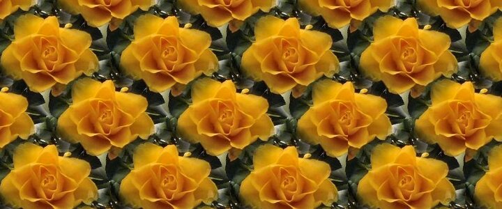 Nature orange Free illustrations