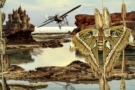 Aircraft aviation moth
