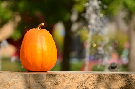 Orange pumpkin decoration
