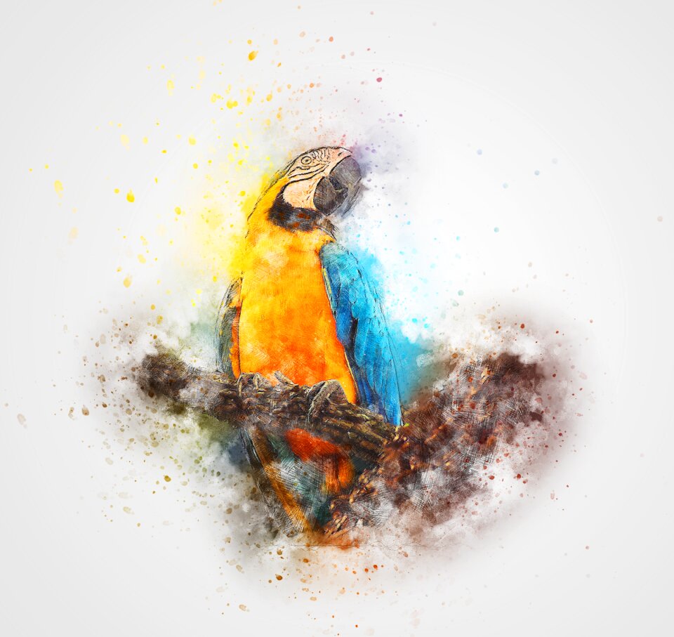 Animal art abstract