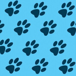 Dog paws blue background Free illustrations