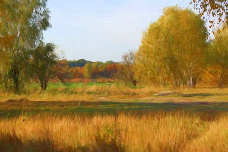 Landscape trees meadow