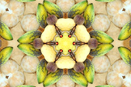 Pattern background kaleidoscope