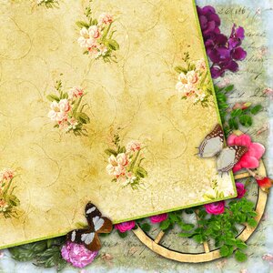 Vintage flowers butterfly