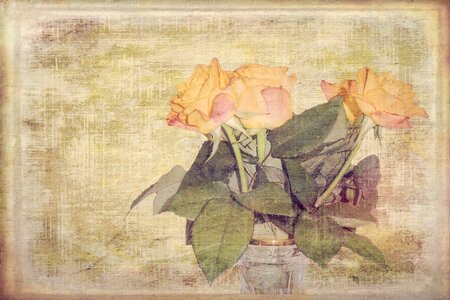 Retro flowers canvas