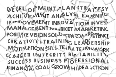 Development plan strategy