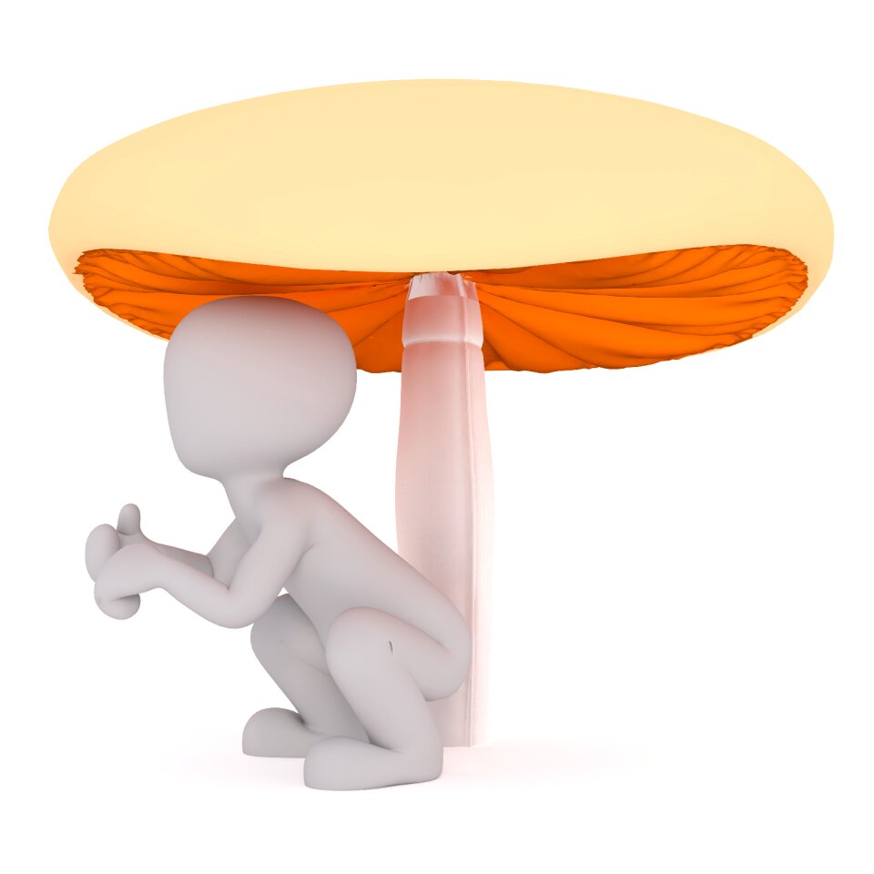 Disc fungus vitamins healthy