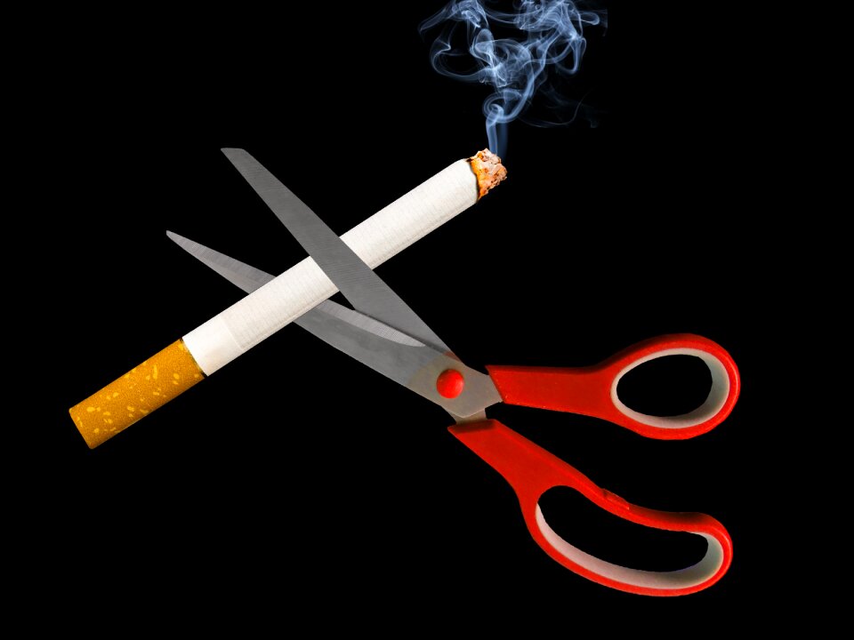 Cigarette smoke unhealthy