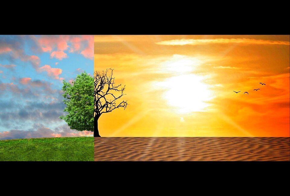 Change desert environment