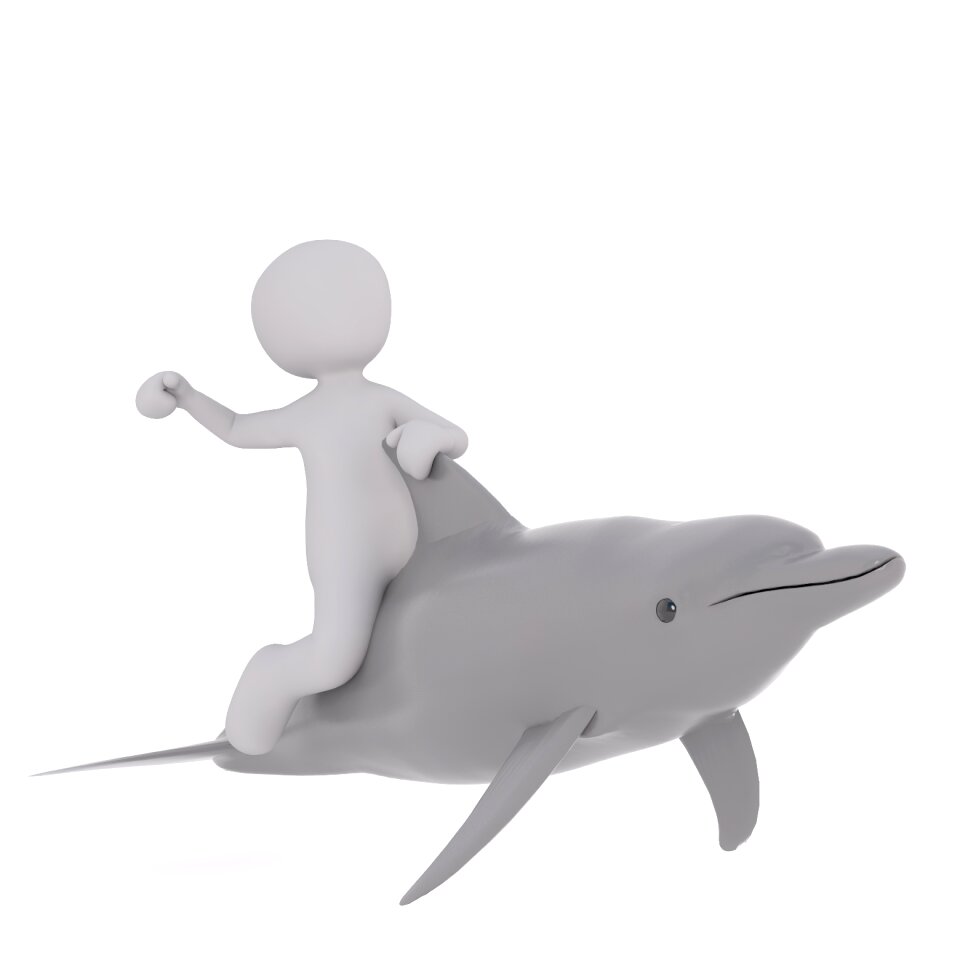 3d model full body