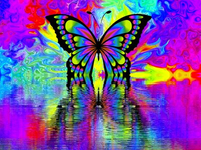 Nature colorful Free illustrations