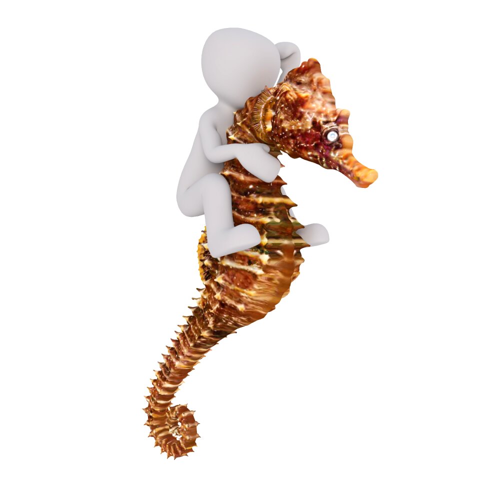 3d model full body