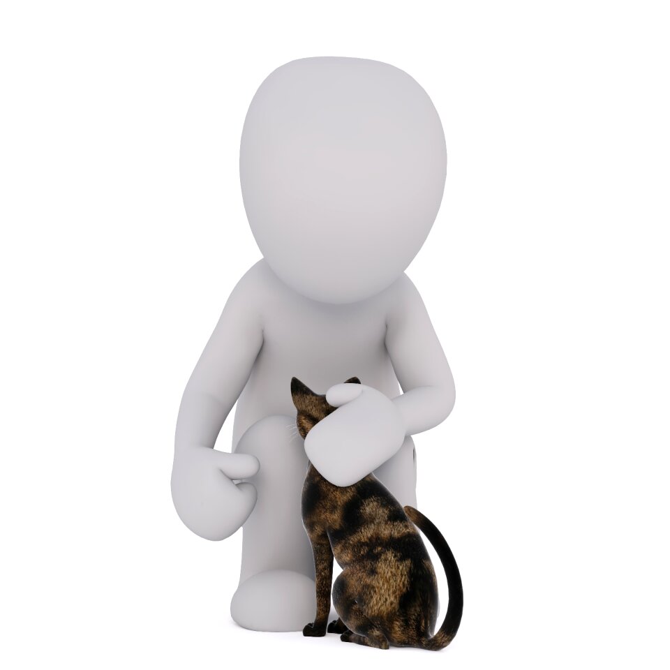 3d model full body