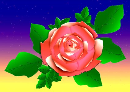 Color pink Free illustrations
