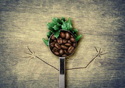 Coffee spoon coffee beans roasting