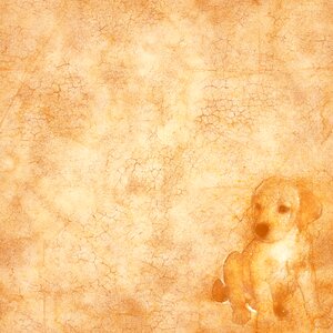 Texture scrapbook vintage