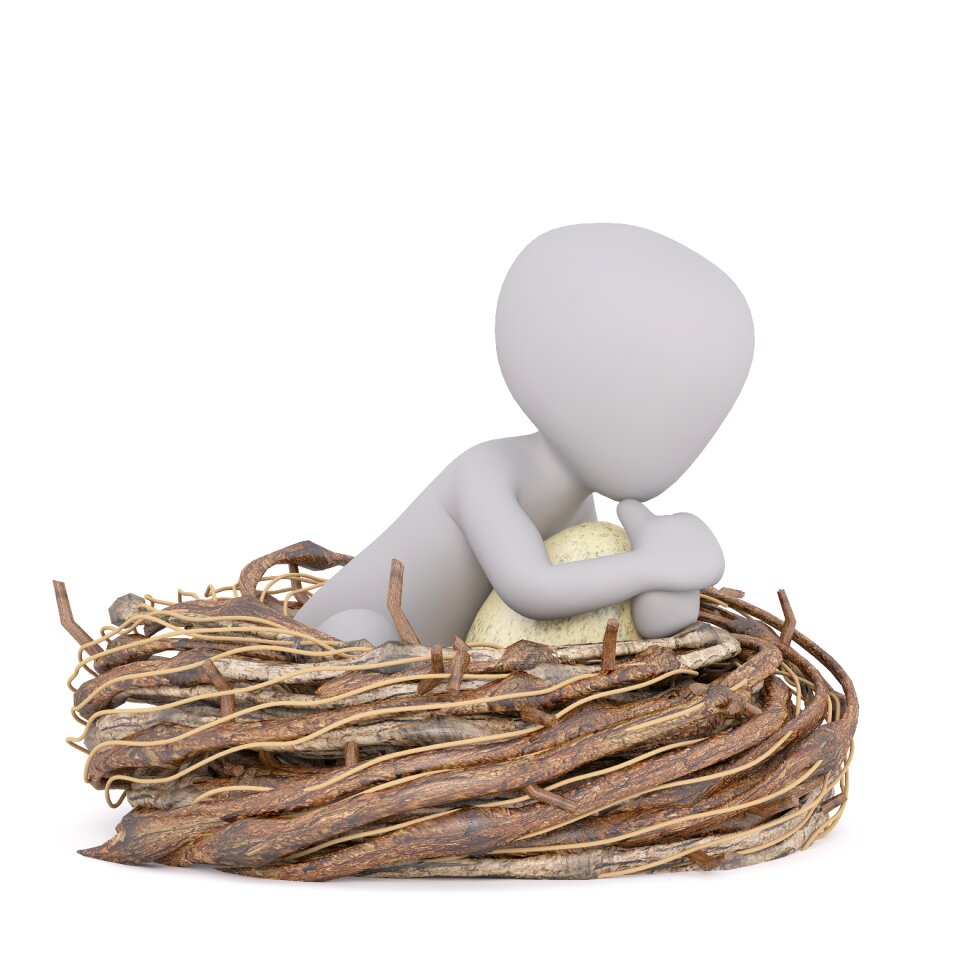 Bird nest white male