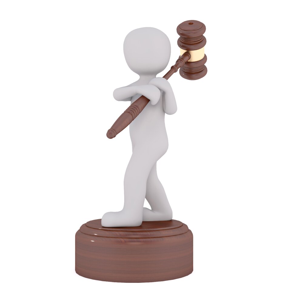 Bids auctioneer males