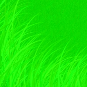 Environmentally sustainable sustainability grass