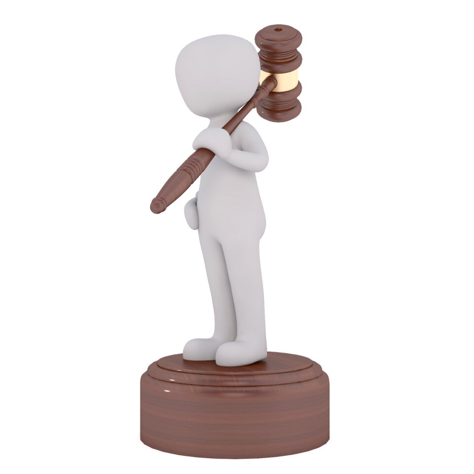 Bids auctioneer males