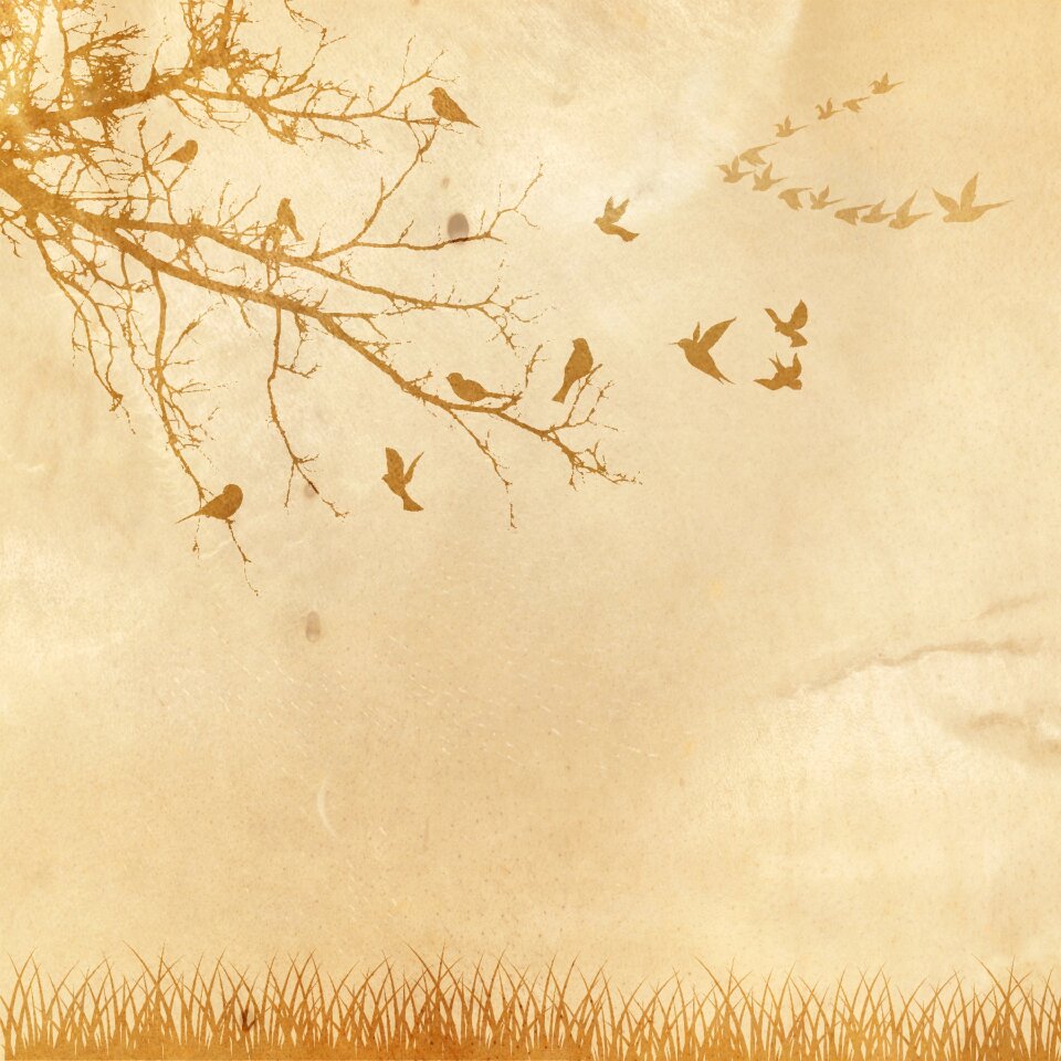 Texture scrapbook vintage