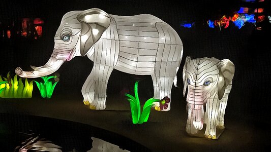 Safari lamp cartoon