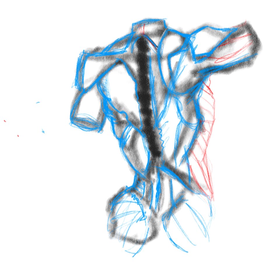 Sketch human Free illustrations