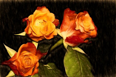 Flowers roses art
