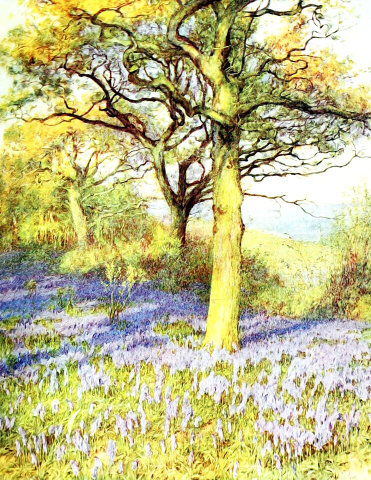 Painting watercolor watercolour