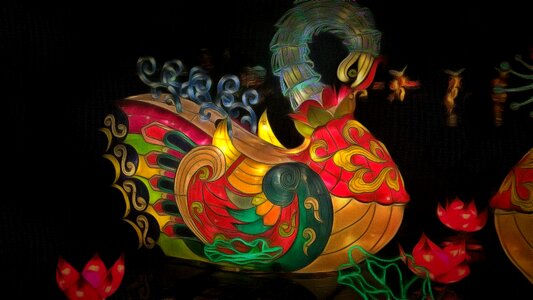 Color nature peafowl
