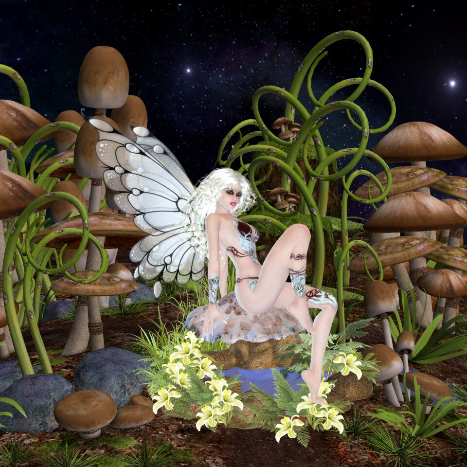 Beautiful night fantasy
