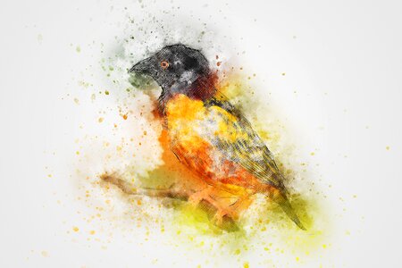 Art abstract watercolor