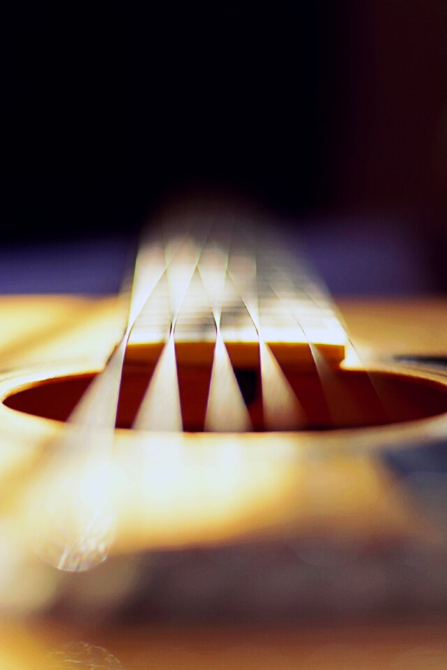 Instrument music musical instrument