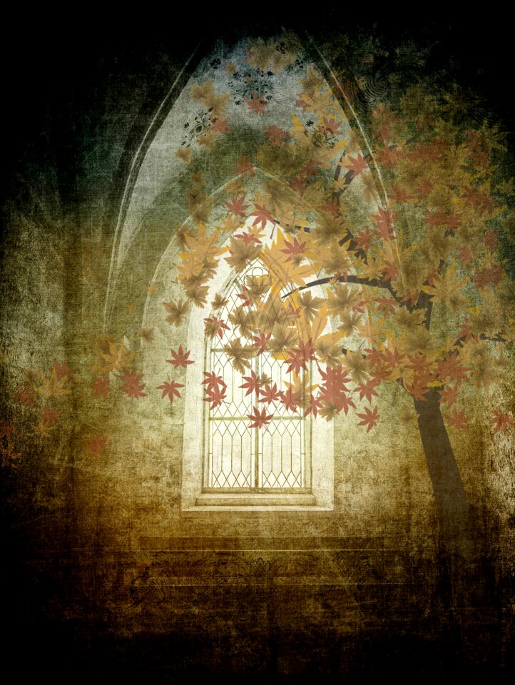 Church window church tree