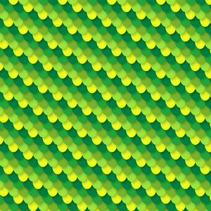 Pattern reptile lizard