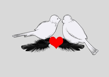 Bird greeting card love