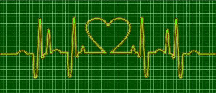 Heart ecg Free illustrations