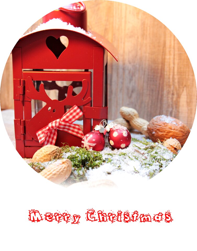 Nuts decoration winter