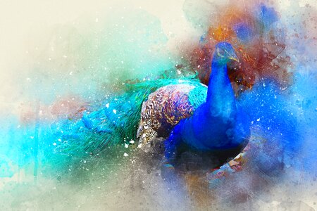Art abstract watercolor