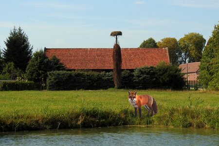 Fuchs pond house